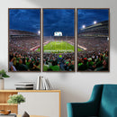 Michigan State Spartans Football Team Print - East Lansing