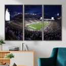 Michigan State Spartans Canvas, Framed Football Team Print -