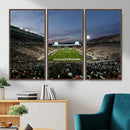 Michigan State Spartans Football Team Print - East Lansing