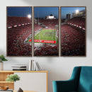 Ohio State University Buckeyes Football Team Print -