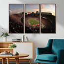 Ohio State University Buckeyes Football Team Print -