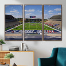 Rice University Owls Football Team Print - Houston Rice