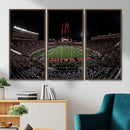 Framed Texas Tech Red Raiders Stadium Canvas, Texas Tech Red