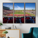 Ball State Cardinals Football Team Print - Muncie Scheumann