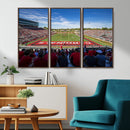 Ball State Cardinals Football Team Print - Muncie Scheumann