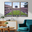 TCU Horned Frogs Football Team Print - Fort Worth Amon G.