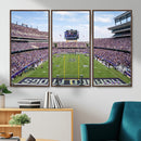 TCU Horned Frogs Football Team Print - Fort Worth Amon G.