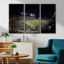 TCU Horned Frogs Football Team Print - Fort Worth Amon G.