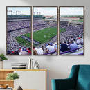 The Texas Christian University TCU Horned Frogs Football