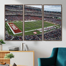 The Temple University Owls Athletics Team Print -