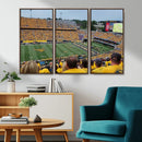 Puskar Stadium Canvas Print Wall Art - Morgantown Print -