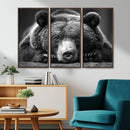 Resting Grizzly 399 Bear Canvas Print | Ready to Hang Wall