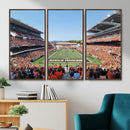 Oregon State Beavers Football Team Print - Corvallis Reser