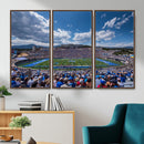 Air Force Falcons Football Team Print - Colorado Springs