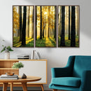 Sunlit Forest Wall Art Canvas Print – Large Framed Woodland