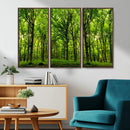 Lush Green Forest Canvas Print | 3-Panel Forest Wall Art |
