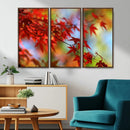 Red Leaves Autumn Forest Wall Art Canvas, Red Leaves Autumn by MyGreatCanvas | Canvas Wall Art Prints | Photo Prints & Wall Decor