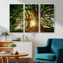 Majestic Ancient Tree Wall Art, NatureCanvas Print, Woodland by MyGreatCanvas | Canvas Wall Art Prints | Photo Prints & Wall Decor