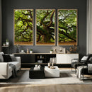 Angel Oak Tree Wall Art Canvas Print | Forest Tree Nature