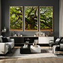 Angel Oak Tree Wall Art Canvas Print | Forest Tree Nature