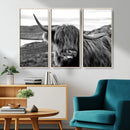 Longhorn Steer Canvas Print Wall Art, Highland Cow Canvas by MyGreatCanvas | Canvas Wall Art Prints | Photo Prints & Wall Decor