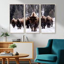 Bison Wall Art Canvas Print- Bison Herd Canvas Wall Art –
