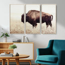 Bison in Field Wall Art Canvas Print For Farmhouse Barn