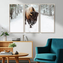 Bison Wall Art Canvas Print For Farmhouse, Animal Canvas