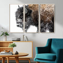 American Bison Wall Art Print – Majestic Buffalo Canvas
