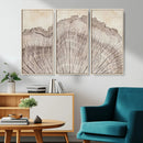 Tree Ring Wall Art Triptych, Rustic Wood Ring Canvas Print,