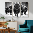 American Bison Art | Buffalo Herd Wall Art Canvas Print, BW