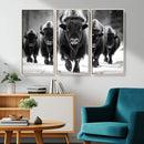 American Bison Art | Buffalo Herd Wall Art Canvas Print, BW