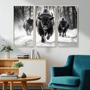 Buffalo Wall Art Canvas Print, Bison Family Wall Art Canvas by MyGreatCanvas | Canvas Wall Art Prints | Photo Prints & Wall Decor