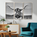 Texas Longhorn Cow Wall Art, Texas Longhorn Canvas, Cattle