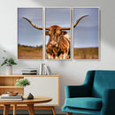 Texas Longhorn Wall Art Print, Framed Longhorn Cow Wall Art