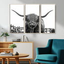 Longhorn Canvas Print, Bighorn Cow Wall Art Canvas Print