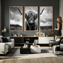 Scottish Cow Wall Art Canvas Print | Longhorn Wall Art |