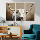 White Longhorn Bull Wall Art Canvas Print – Framed and Ready