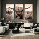 Scottish Cow Longhorn Wall Art Canvas Print