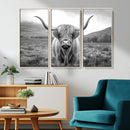 Black White Scottish Highland Cow Canvas Farm Wall Art
