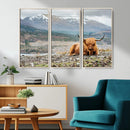 Highland Cow Horn Farm Wall Art Canvas Print