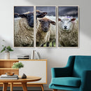 Charming Sheep Portrait Wall Art – Trio of Woolly Companions by MyGreatCanvas | Canvas Wall Art Prints | Photo Prints & Wall Decor