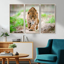 Leopard on the Prowl - Stunning Large Framed Leopard Wall