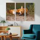 Sleeping Fox Wall Art Canvas Print, Farmhouse Wall Decor and by MyGreatCanvas | Canvas Wall Art Prints | Photo Prints & Wall Decor