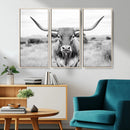 Highland Cow Wall Art Canvas Print – Black and White Western
