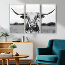 Highland Cow Wall Art Canvas Print – Black and White Western
