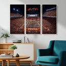 Texas Stadium Night Game Wall Art Canvas Print – Vibrant