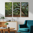 Historic Tree Wall Art – Framed Mossy Branch Canvas Artwork, by MyGreatCanvas | Canvas Wall Art Prints | Photo Prints & Wall Decor