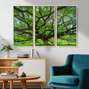 Oak Tree Wall Art Print, Forest Canvas Wall Art for Home and by MyGreatCanvas | Canvas Wall Art Prints | Photo Prints & Wall Decor