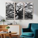 Ancient Oak Wall Art Canvas Print – Gnarled Tree Twisted by MyGreatCanvas | Canvas Wall Art Prints | Photo Prints & Wall Decor